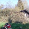 Bild von