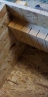 Bild von