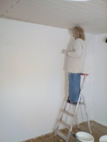 Bild von