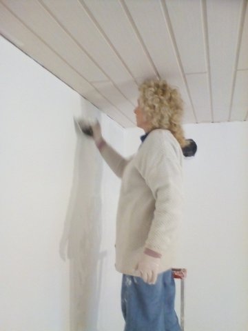 Bild von