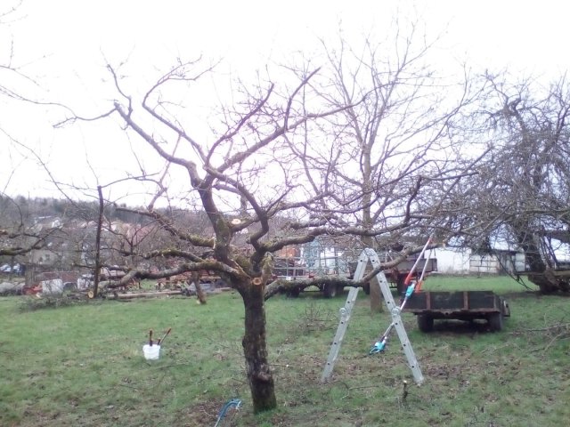 Bild von
