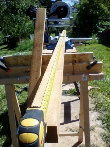 Bild von