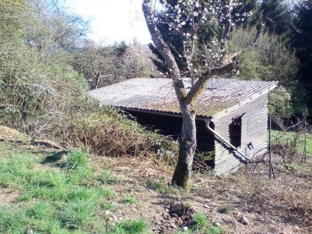 Bild von