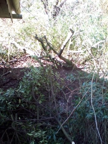 Bild von