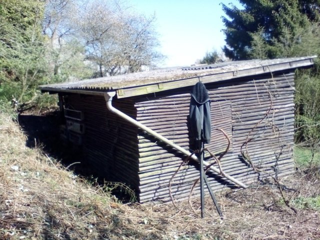 Bild von