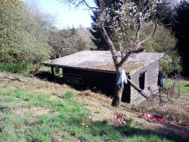Bild von