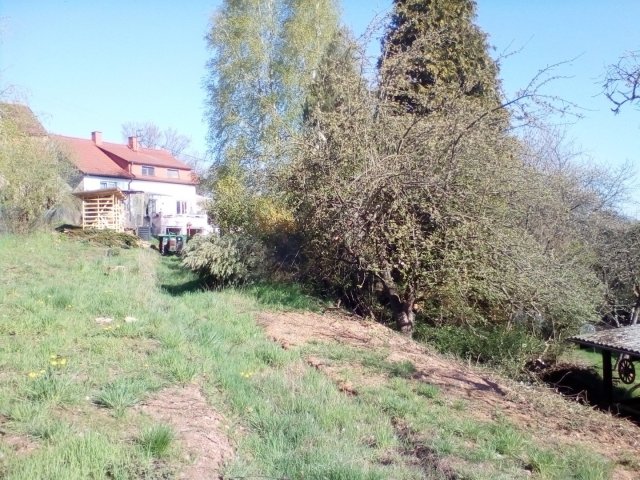 Bild von