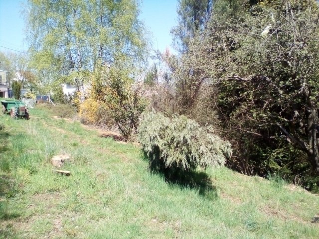 Bild von