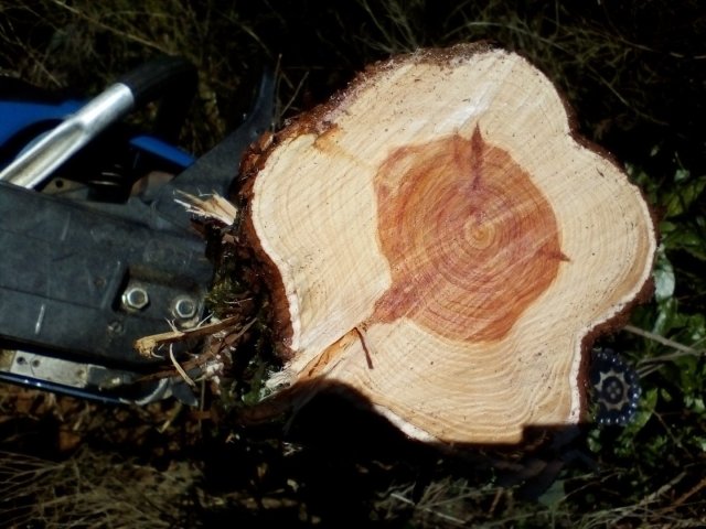 Bild von