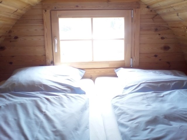 Bild von
