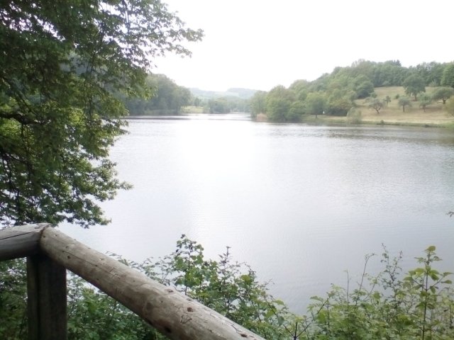 Bild von