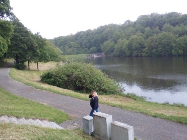 Bild von