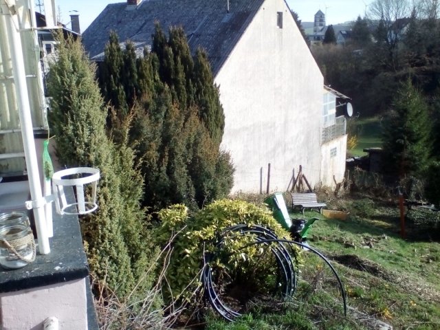 Bild von