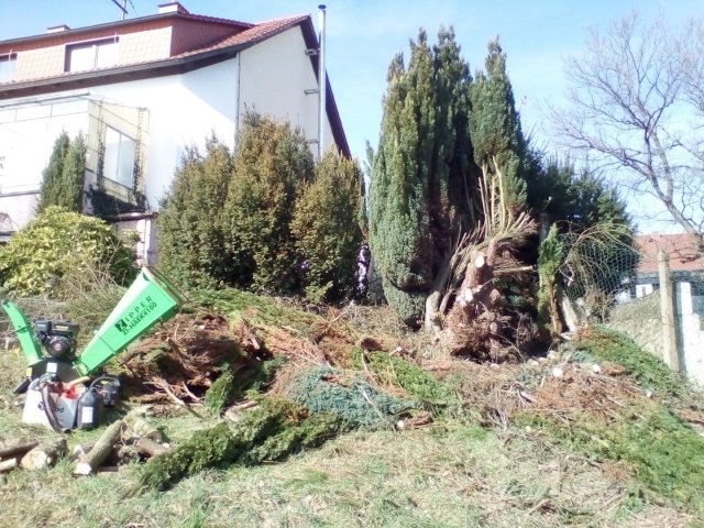 Bild von