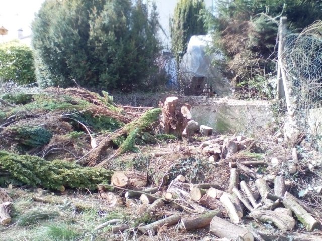 Bild von
