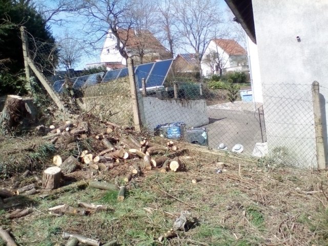Bild von