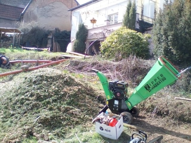 Bild von