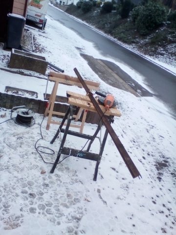Bild von
