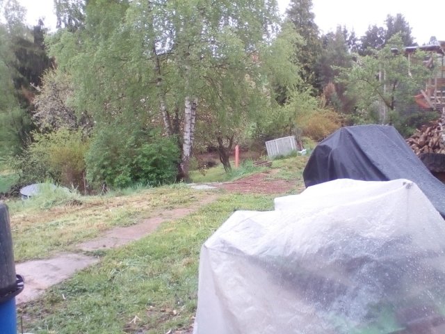 Bild von