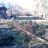 Bild von