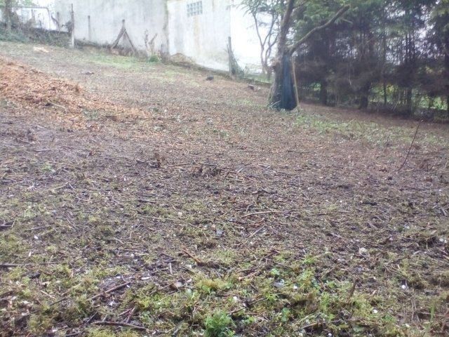 Bild von