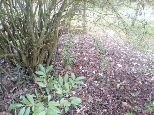 Bild von