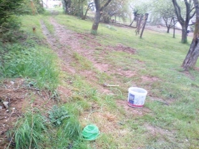 Bild von