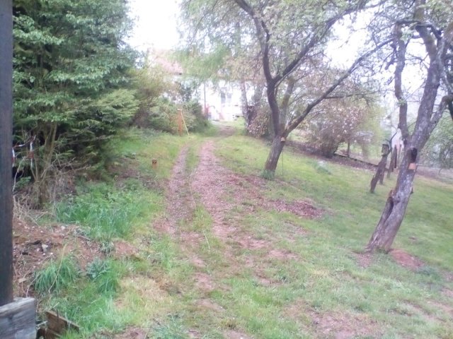 Bild von