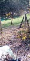 Bild von