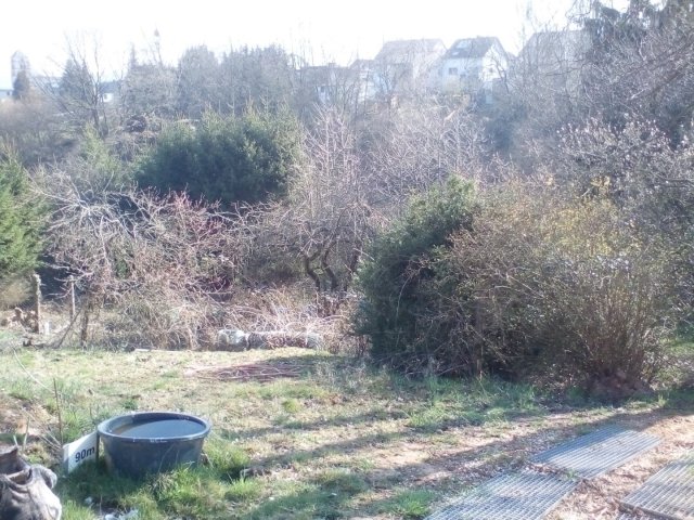 Bild von