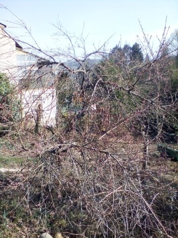 Bild von