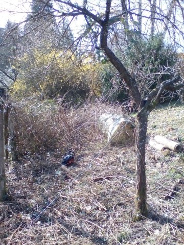 Bild von
