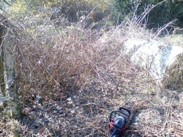 Bild von