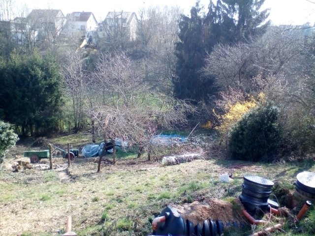 Bild von