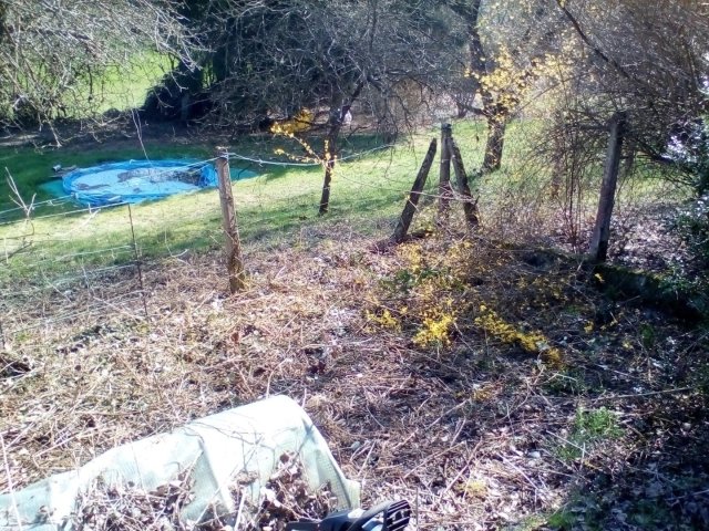 Bild von