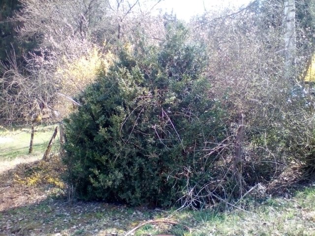 Bild von