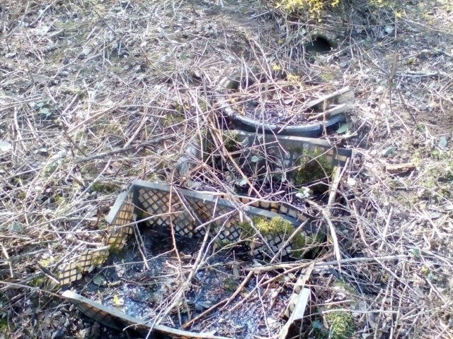 Bild von