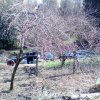 Bild von