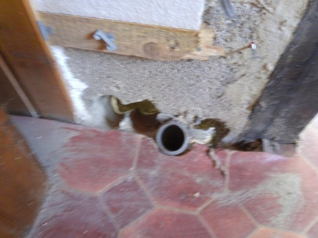 Bild von