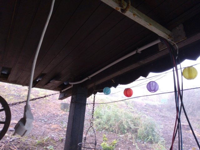 Bild von
