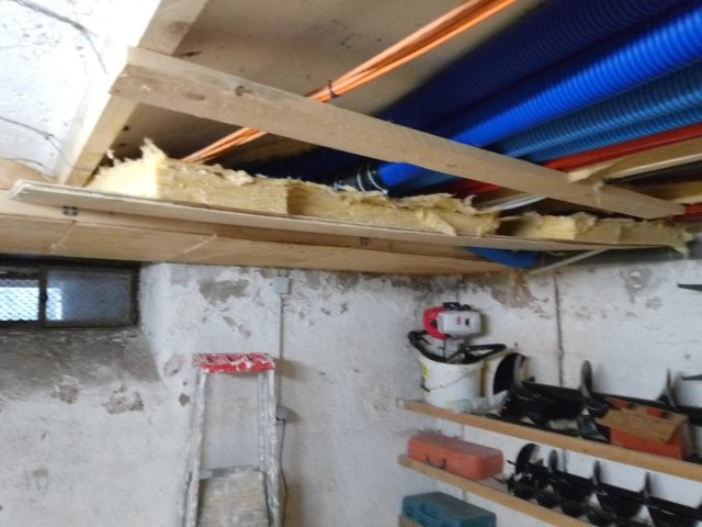 Bild von