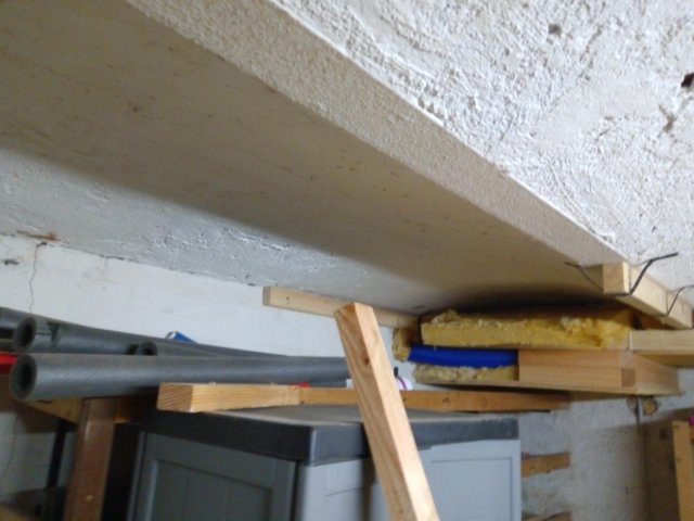 Bild von
