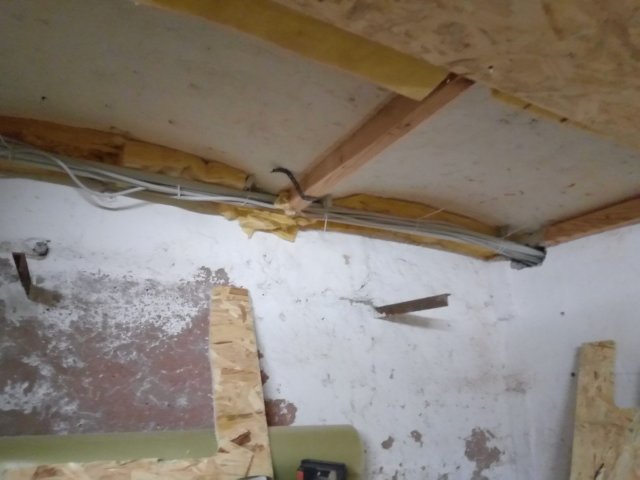 Bild von