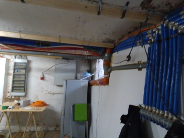Bild von