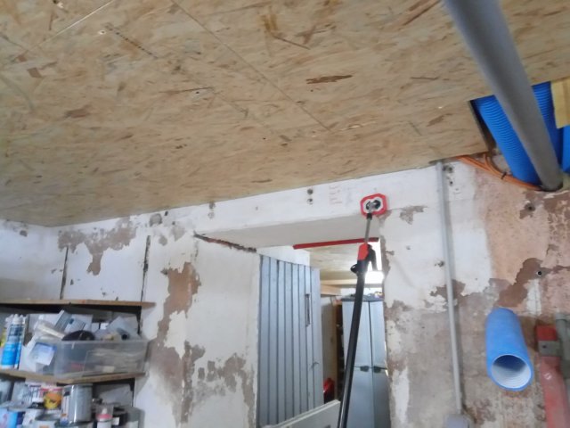 Bild von