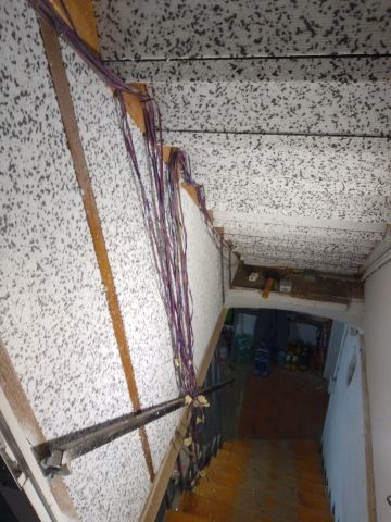 Bild von Kellertreppe Dämmung gedämmt isoliert Styropor Styrodur