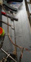 Bild von