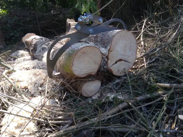 Bild von Holder ED2 Holzzange Baum fällen Brennholz