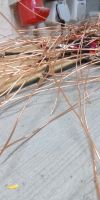 Bild von