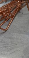 Bild von